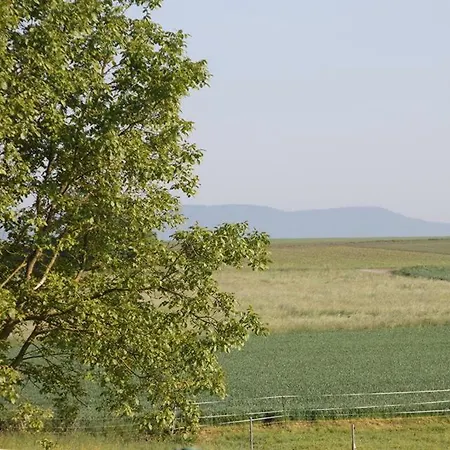 Decouverte Alsace * Kuhlendorf